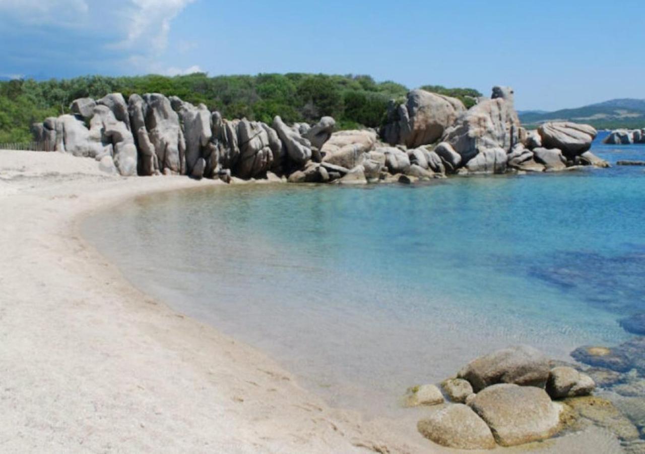 Chalet V Tout Confort Proche Des Plages Pianottoli-Caldarello (Corsica) Eksteriør billede